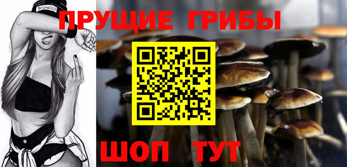 дарнет шоп  Вход с VPN  Батайск  Псилоцибиновые грибы мухоморы 